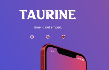 Taurine v1.1.3牛磺酸越狱教程